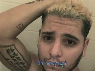 Mr_pervysage