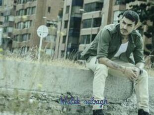 Malek_sabagh