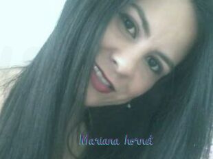 Mariana_hornet