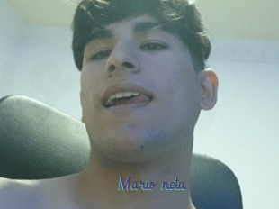 Mario_neta
