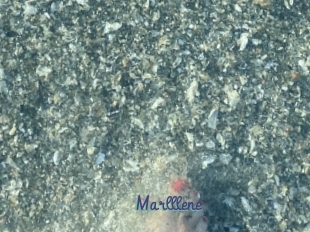 Marlllene