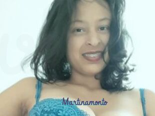 Martinamonto