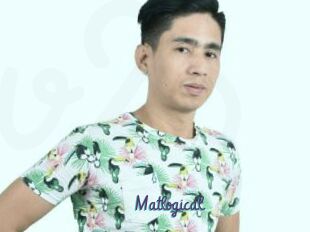 Matlogical