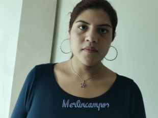 Merlincampos