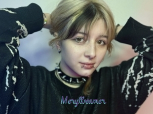 Merylbeamer