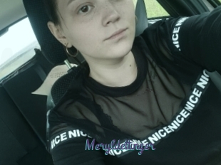 Meryldettinger
