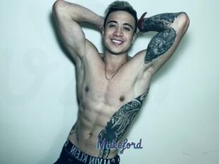 Miikeford