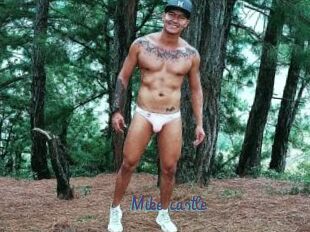 Mike_castle