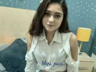 Mini_puca