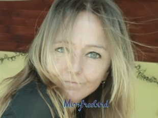 Missfreebird