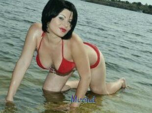 Missnet
