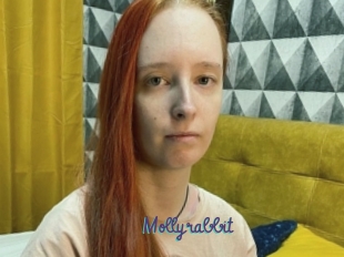 Mollyrabbit