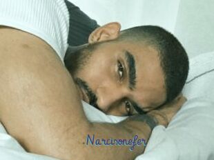 Narcisonefer