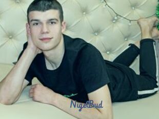 NigelBud