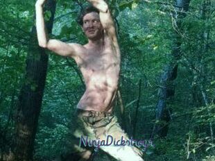 NinjaDickstroyr