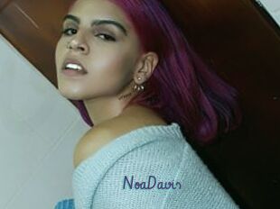 NoaDavis