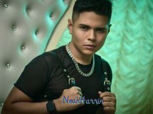 NoahHarris