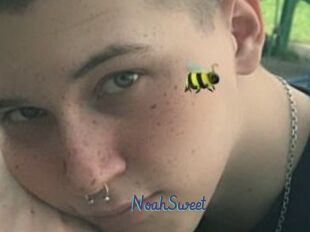 NoahSweet