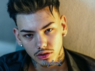 Nigelsoul