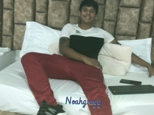 Noahgreyy
