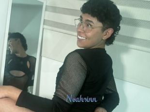 Noahsinn