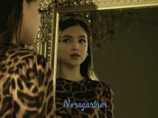 Noragartner