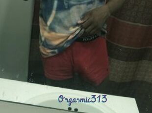 Orgasmic313