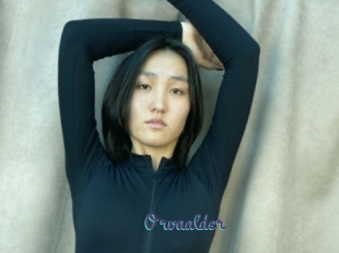 Orvaalder