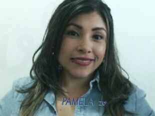 PAMELA_zv