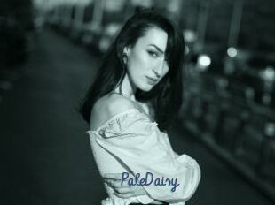 PaleDaisy
