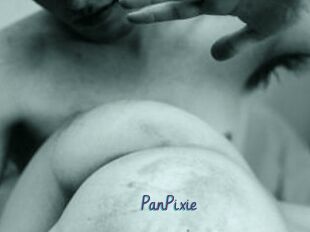 PanPixie