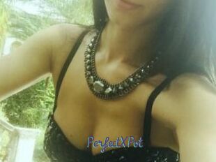 PerfectXPvt_