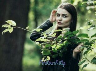 Perilous_Kitty