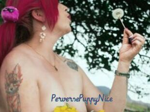 PerversePuppyNice