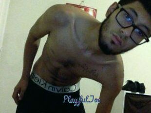 PlayfulJoe