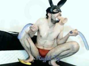 Playful_Toy