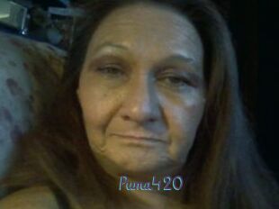 Puma420