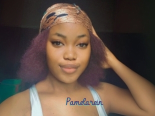 Pamelarein