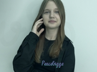Peacebigge