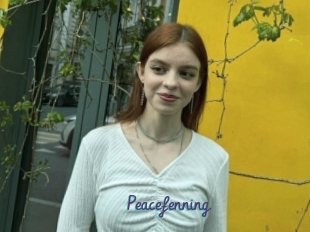 Peacefenning