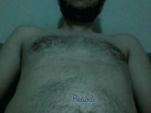 Pedwil