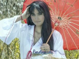 Penelopezeta