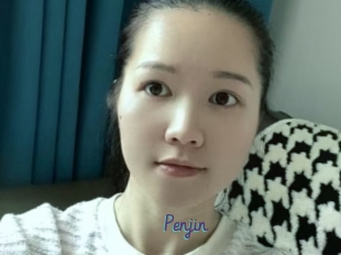Penjin
