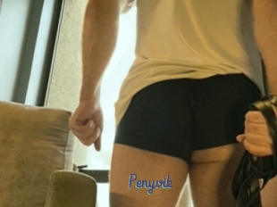 Penyvik