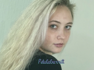Petulabarritt