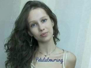 Petulabowring