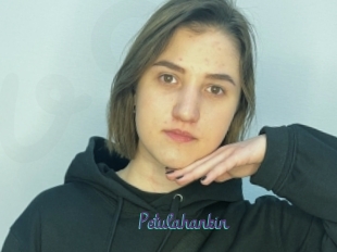 Petulahankin