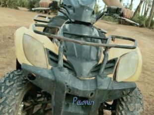 Pewnis
