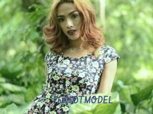 PhilH0TMODEL