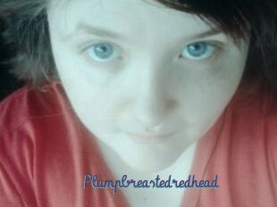 Plumpbreastedredhead